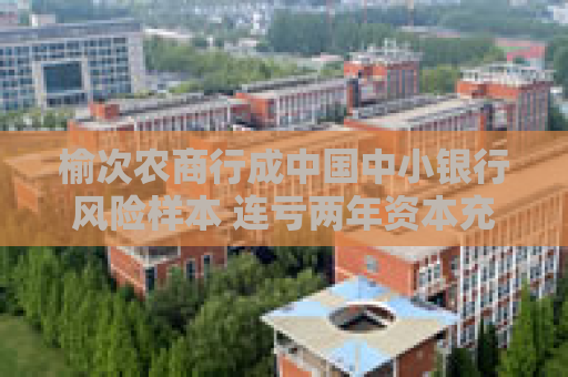 榆次农商行成中国中小银行风险样本 连亏两年资本充足率-21%