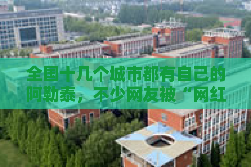 全国十几个城市都有自己的阿勒泰，不少网友被“网红景点”坑