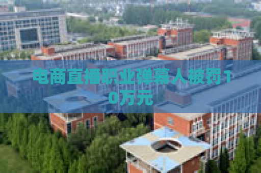 电商直播职业弹幕人被罚10万元