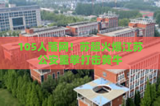 105人落网！苏超火爆江苏公安重拳打击黄牛