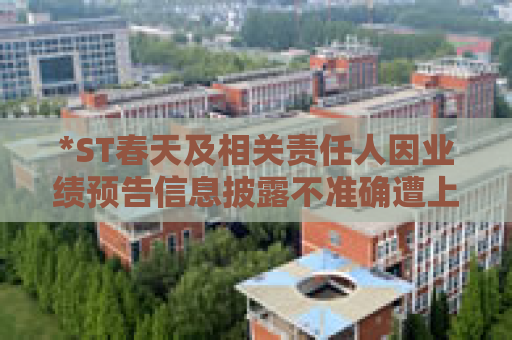 *ST春天及相关责任人因业绩预告信息披露不准确遭上交所公开谴责