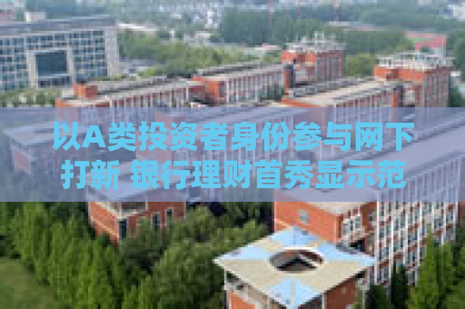 以A类投资者身份参与网下打新 银行理财首秀显示范效应