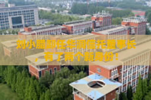 刘小腊卸任华润信托董事长，有了两个新身份！