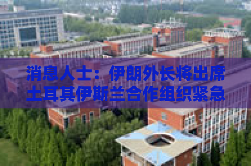 消息人士：伊朗外长将出席土耳其伊斯兰合作组织紧急会议