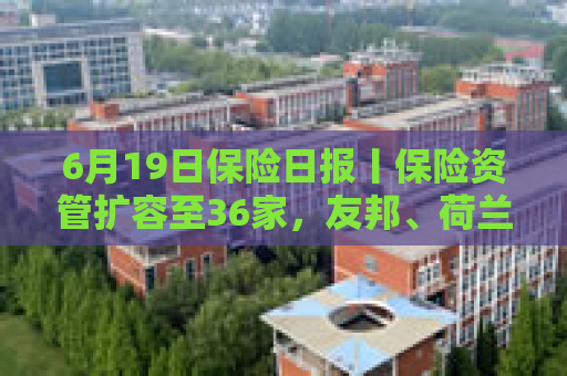 6月19日保险日报丨保险资管扩容至36家，友邦、荷兰全球人寿入场！保险预定利率走入历史低位
