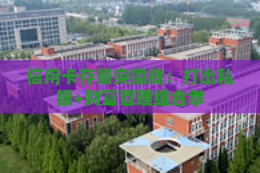 信用卡存量突围战：打出私银+财富管理组合拳