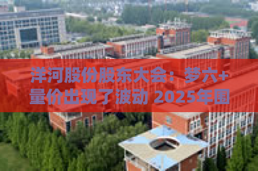 洋河股份股东大会：梦六+量价出现了波动 2025年围绕促动销和库存去化
