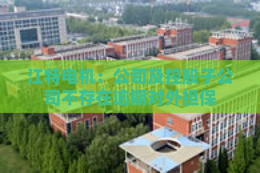 江特电机：公司及控股子公司不存在逾期对外担保