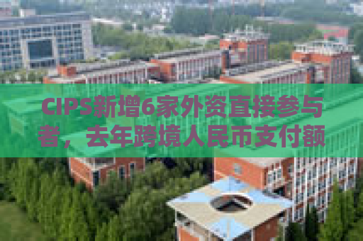 CIPS新增6家外资直接参与者，去年跨境人民币支付额同比增43%