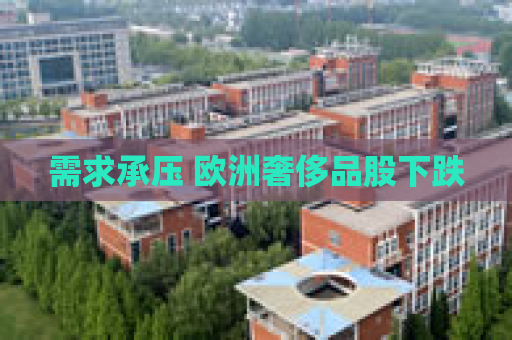 需求承压 欧洲奢侈品股下跌