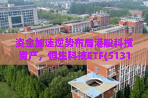 资金加速逆势布局港股科技资产，恒生科技ETF(513130)单日净流入超6亿，最新份额达378.29亿份，迭创历史新高