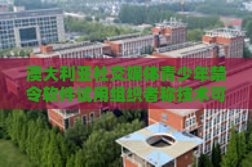 澳大利亚社交媒体青少年禁令软件试用组织者称技术可行
