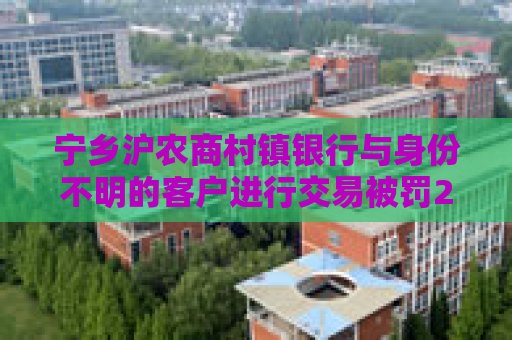 宁乡沪农商村镇银行与身份不明的客户进行交易被罚20万元