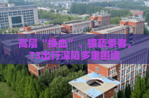 高层“换血”、猥亵乘客，T3出行深陷多重困境