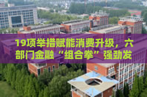 19项举措赋能消费升级，六部门金融“组合拳”强劲发力