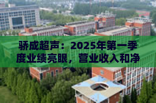 骄成超声：2025年第一季度业绩亮眼，营业收入和净利润分别同比增长22.35%和2152.47%
