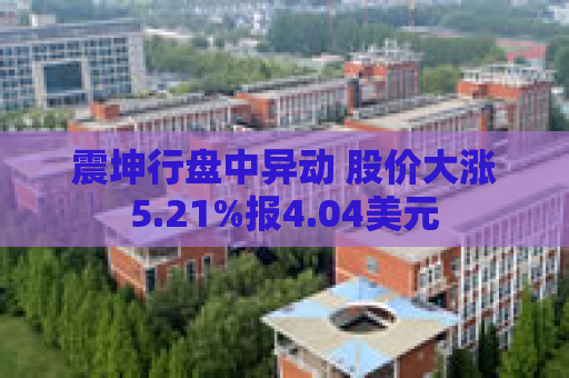 震坤行盘中异动 股价大涨5.21%报4.04美元