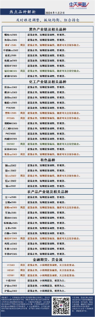 中天策略:1月2日市场分析