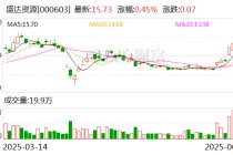 盛达资源：公司今年未开展白银套期保值业务
