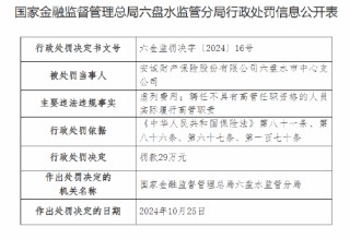 安诚财险六盘水市中心支公司被罚29万元：因虚列费用 聘任不具有高管任职资格的人员实际履行高管职责