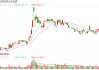 去年销量高增领跑早盘股价却跌近3%，比亚迪：每年大家都有销量增速放缓的担忧，公司对2025年有信心