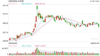 去年销量高增领跑早盘股价却跌近3%，比亚迪：每年大家都有销量增速放缓的担忧，公司对2025年有信心