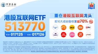 恒指重回2万点大关，美团领涨7%！港股互联网ETF（513770）飙涨2．54%，机构提示反弹窗口