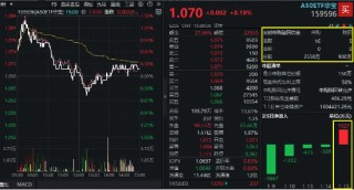 科大讯飞、北方华创领涨，“漂亮50”翘尾收红！高人气A50ETF华宝（159596）放量收涨，换手率断层领先同类