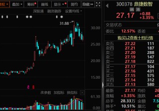 300378，AI收入暴增超102%！机构密集关注