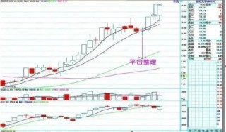 巴菲特点破A股：现在的中石油很便宜，为什么大家都不敢买？如果拿20万抄底中石油，到了牛市能赚钱？