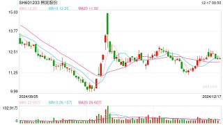 子公司150万吨PTA装置停车  桐昆股份：换热器堵塞故障导致