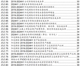 保险深度丨阳光保险首次覆盖深度报告：综合性民营保险集团，保险及投资业务兼具成长及特色【中泰非银·蒋峤/戴志锋】