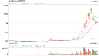 因财务数据披露不准确 华立股份及相关责任人收警示函