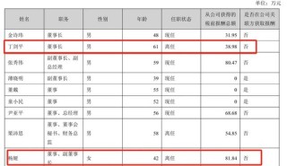 美女总经理带头财务造假,海伦哲索赔2.48亿