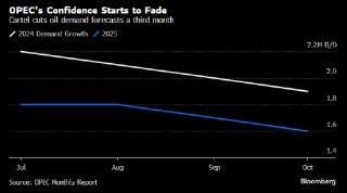OPEC连续第三个月下调全球石油需求增长预测