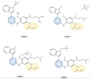 被极度低估的科创板Biotech