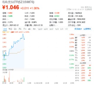 黄金逆市冲高，有色龙头ETF（159876）盘中上探1.55%，机构：看好2025年金价