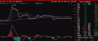 徐翔突发！2家上市公司股权将被拍卖，价值约5.64亿元