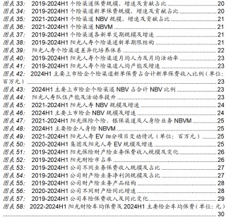 保险深度丨阳光保险首次覆盖深度报告：综合性民营保险集团，保险及投资业务兼具成长及特色【中泰非银·蒋峤/戴志锋】