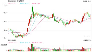 13只银行可转债转股率分化  7只不足0.01%