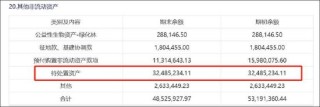 京基智农低估值之谜？巨额地产项目是否被大股东分食 大股东有无掏空之嫌