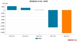 黑芝麻保壳成功，背后“两大家族”权力更迭！