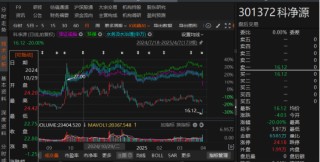 科净源违规担保及计提减值准备有误被监管！