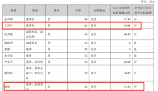 美女总经理带头财务造假，海伦哲索赔2.48亿