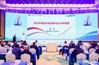 中国煤炭工业协会党委委员张宏：2024年煤炭市场形势与2025年展望