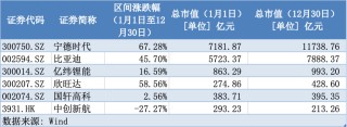 动力电池全年趋势观察：股价涨跌背后的生死时速