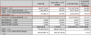 突然爆雷！刚刚公告：明日停牌！