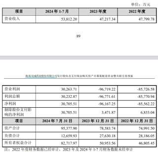 财说 | 疯狂炒作之下，双成药业重组后能成为A股芯片设计“一哥”吗？