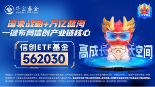 AI新主线爆发，阿里巴巴创22个月以来最大单日涨幅！DeepSeek火热，信创ETF基金（562030）再涨2.5%，地产、金融翘尾上攻