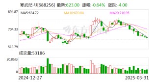 价值与泡沫齐飞，亏损与盈利共存：寒武纪年报还得等